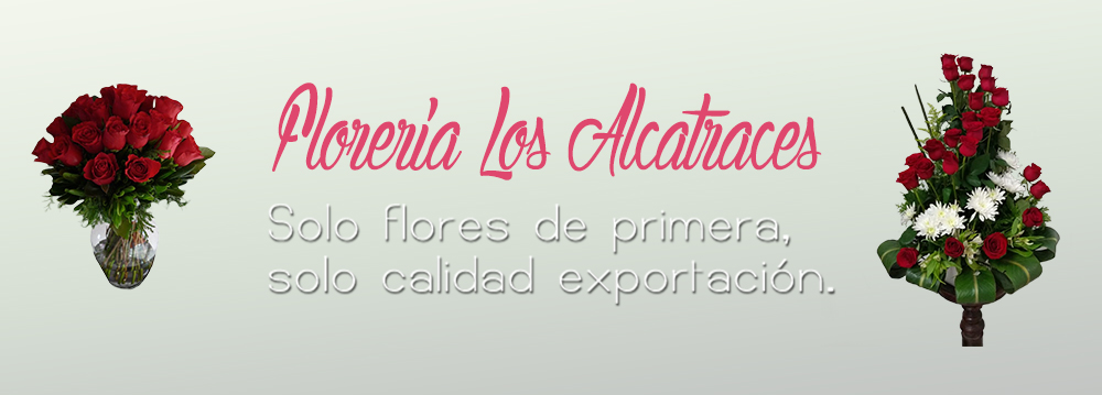 Floreria los Alcatraces